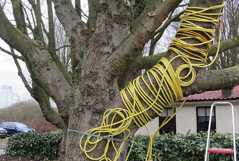 Grote boomstam met felgele, opgerolde kabel om een tak gewikkeld in een tuin.
