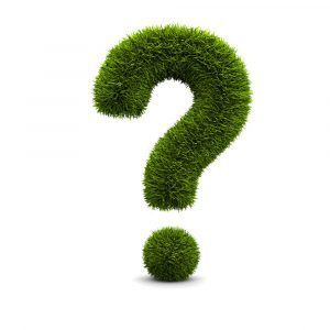 Groen gras met een vraagteken op een witte achtergrond