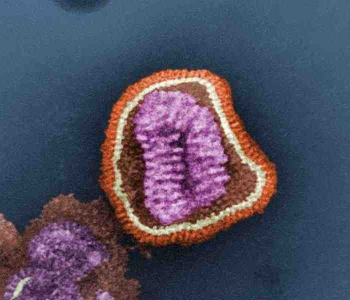 Gekleurde microscopisc