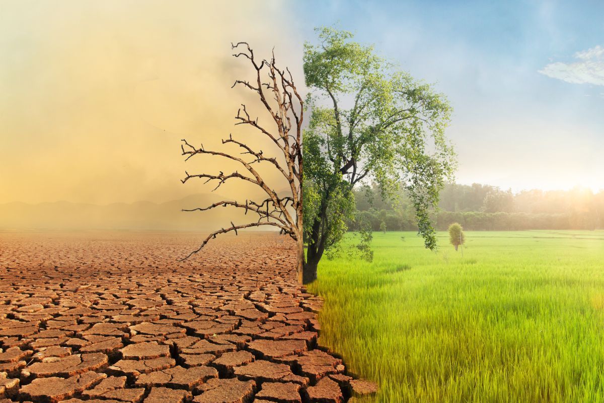 Het landschap is gesplitst in een gebarsten, droge vlakte en een 