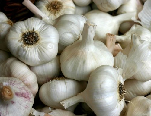 Close-up van een stapel witte knoflookbollen met papierachtige schillen en stengels.