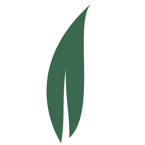 Groen, bladvormig logo op een witte achtergrond