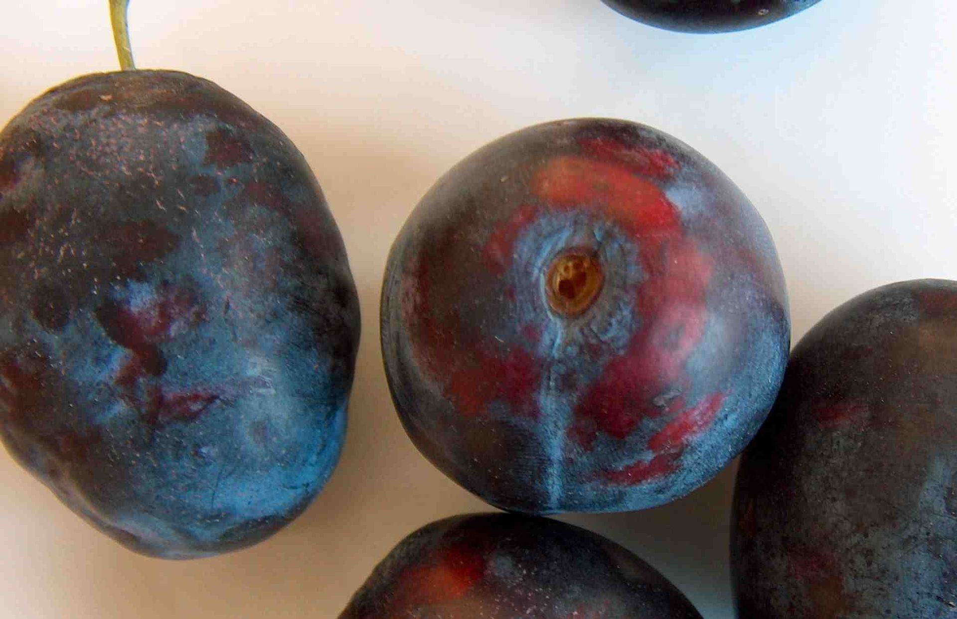 Close-up van rijpe, donkerpaarse pruimen met een blauwrode schil op een lichte achtergrond.