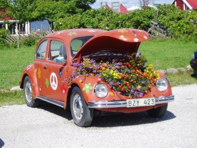 Een rode Volkswagen Kever, bedekt met bloemen en met open motorkap, staat op een zonnige dag buiten geparkeerd.
