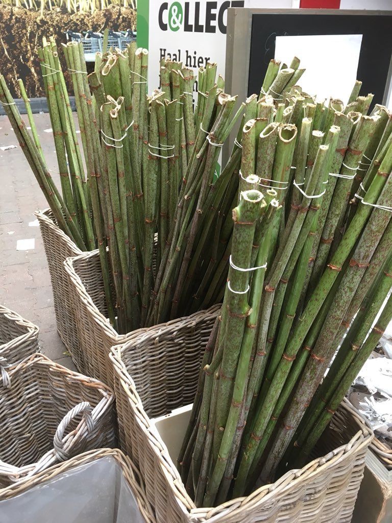 Bundels afgesneden groene stengels in gevlochten manden op een marktkraam.