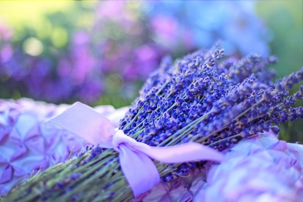 Een boeket lavendel, vastgebonden met een lichtgekleurd lint, staat tussen paarse bloemen tegen een wazige tuinachtergrond.