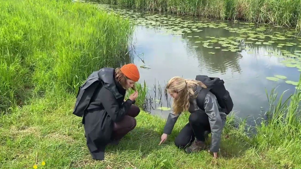 Twee mensen hurken bij een vijver en bestuderen planten langs de met gras begroeide waterkant.