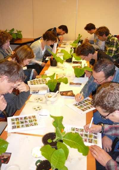 Mensen zitten rond een tafel en bestuderen bladeren en plantenmonsters in een klaslokaal of werkplaats.