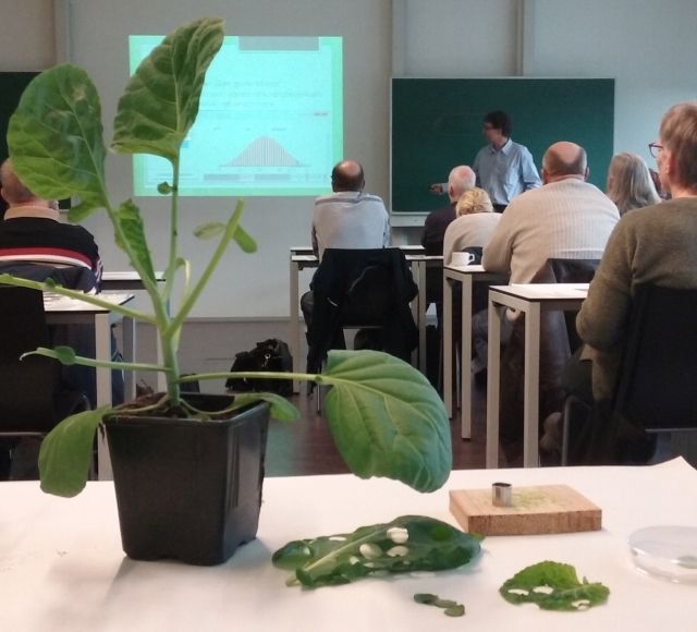 Presentatie in een klaslokaal met zittend publiek, een potplant op de voorgrond en gehakte groene bladeren op een tafel.