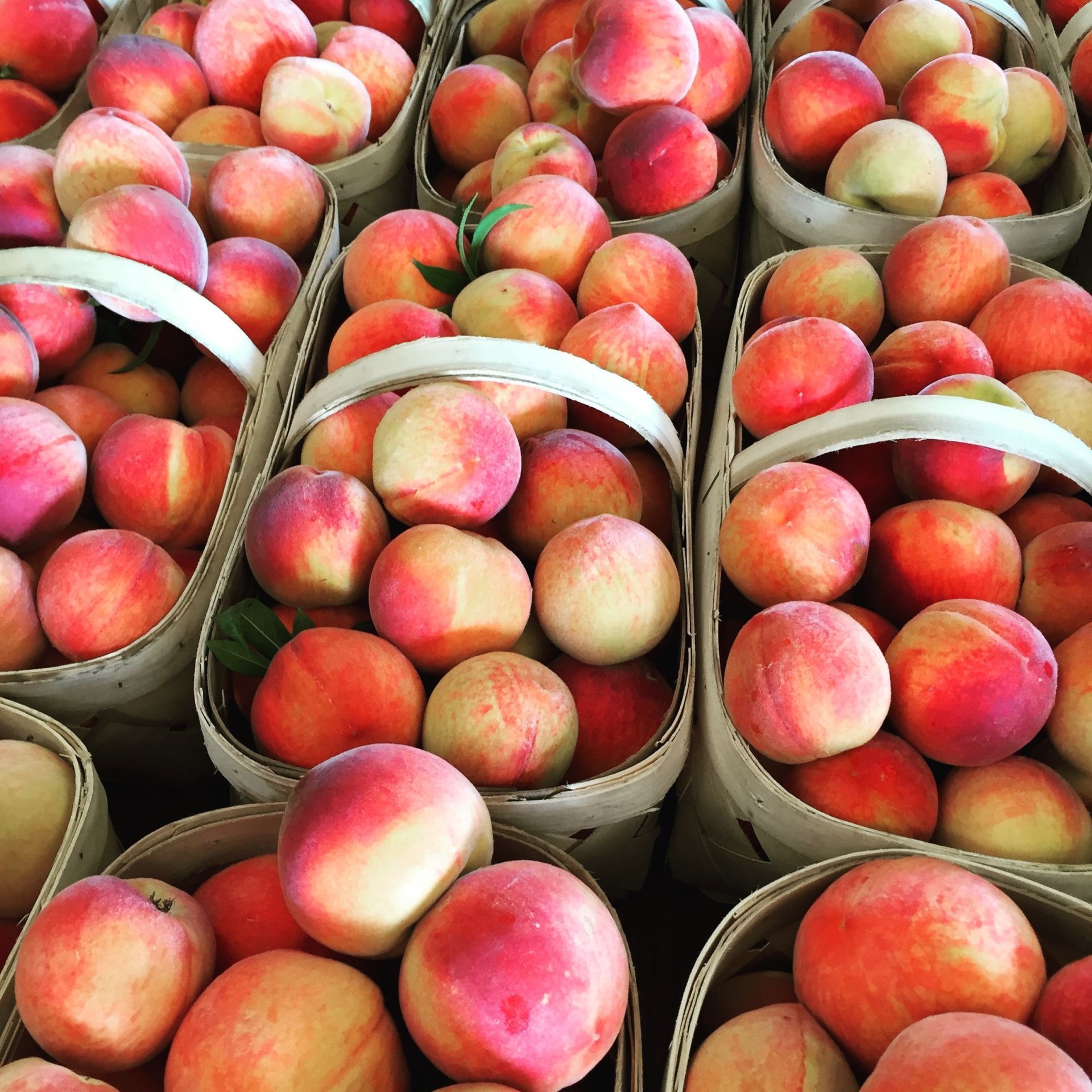 Peaches in baskets sold in Commerce GA
