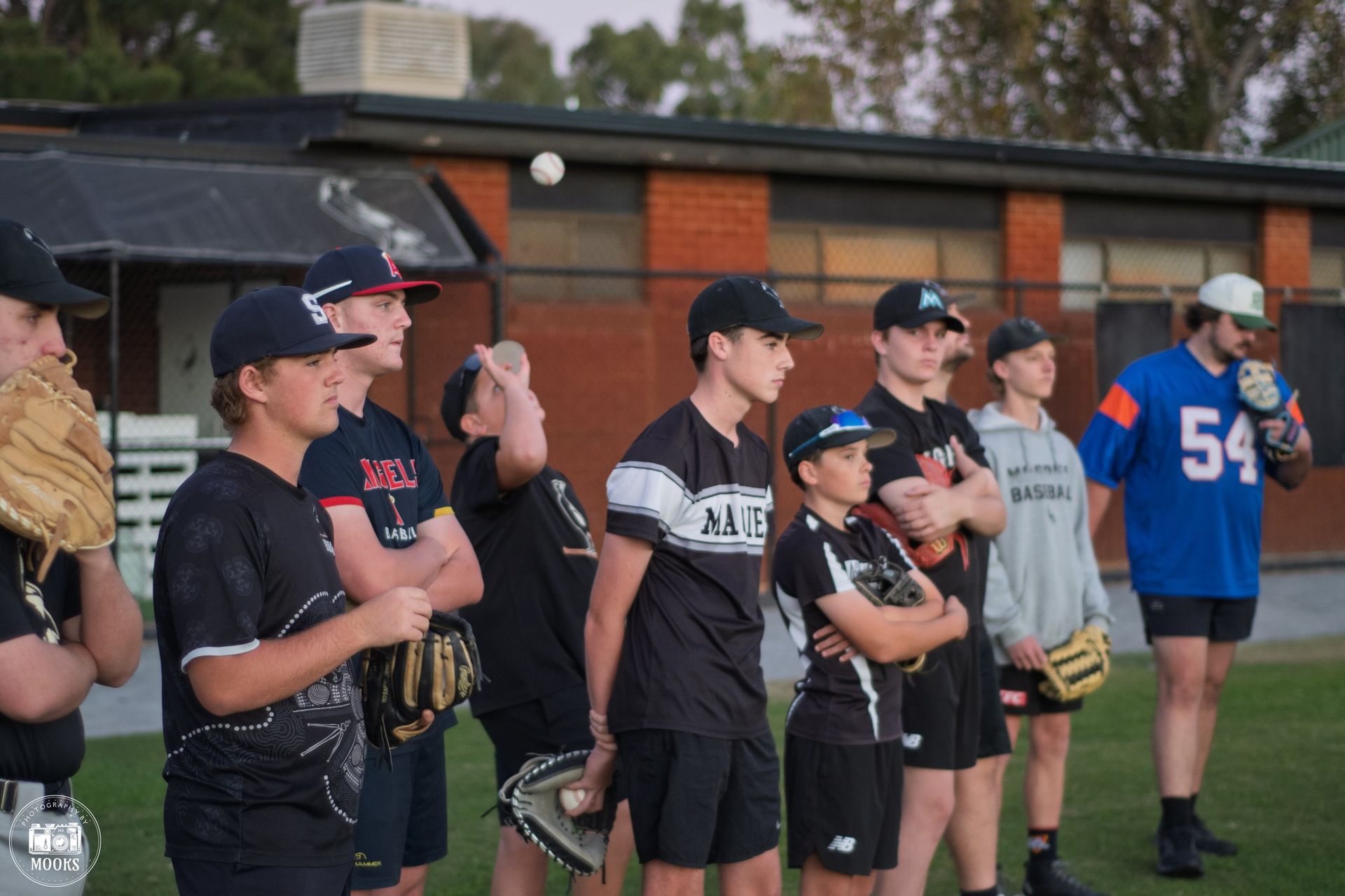 Viper Baseball Academy