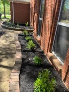 Brick walkway alongside a red brick building with dark mulch and green shrubs.