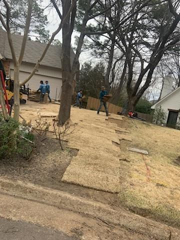 Workers laying sod in a residential yard, with house and trees in the background.
