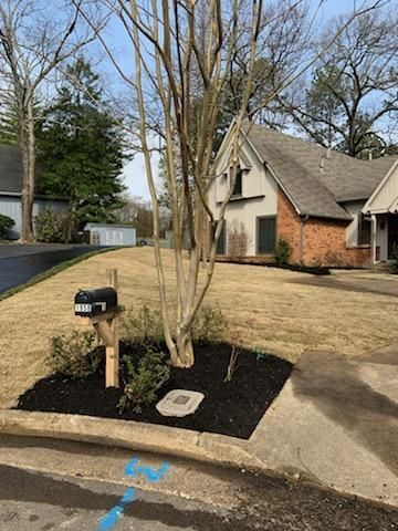 Mailbox and tree in a landscaped yard with a house in the background. Brown grass and a sunny day.