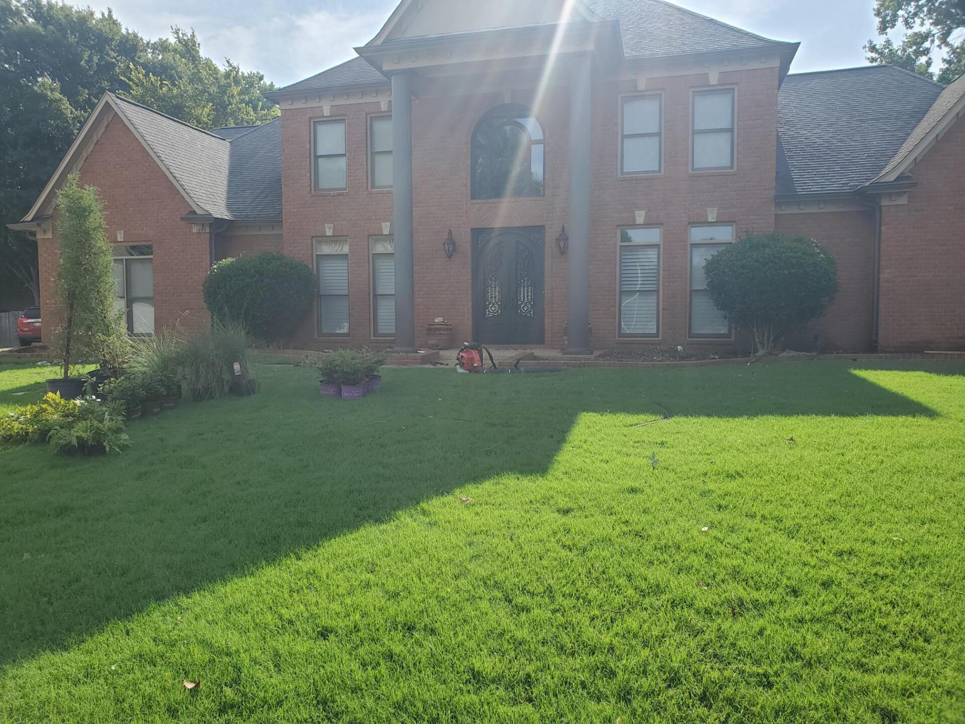 Brick house with green lawn, bright sun, and shrubs.