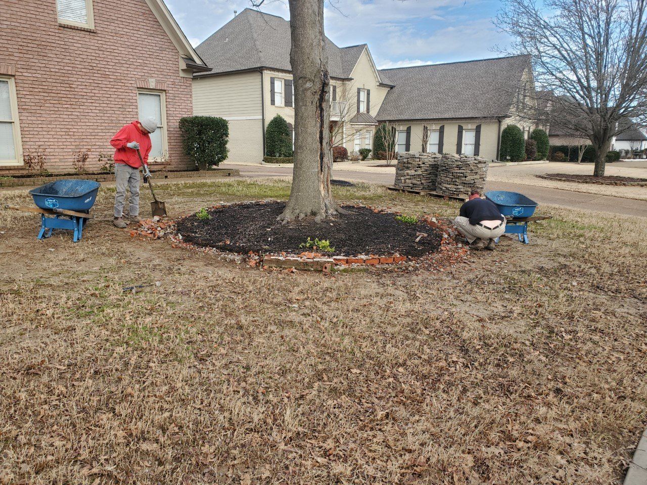 Two people gardening near a tree in a residential yard. One rakes, the other crouches.