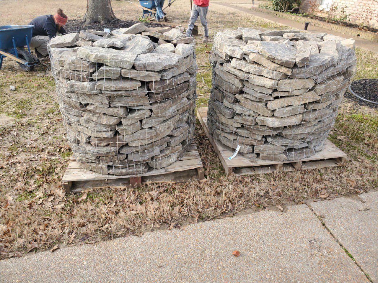Two wire cages filled with gray stones on wooden pallets, outside on grass.