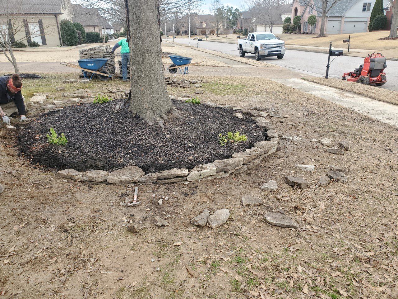 Landscapers mulching around a tree in a front yard, with a truck and lawnmower visible.
