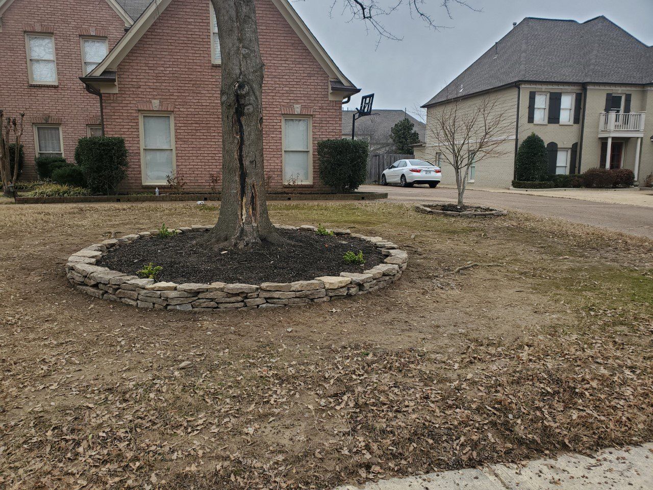 A tree in a circular stone bed in front of a brick house on a cloudy day.