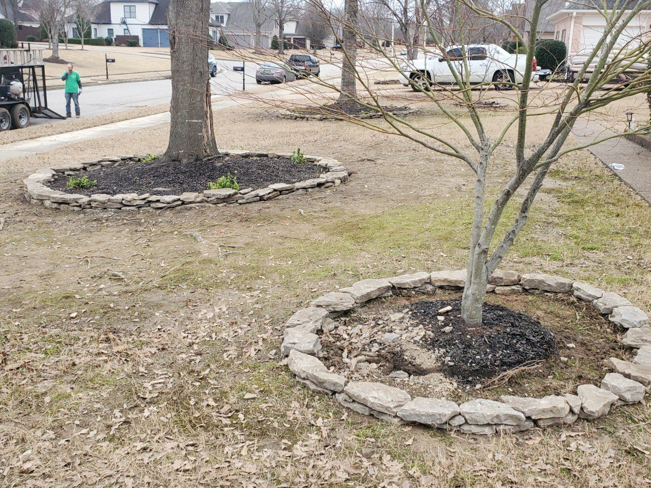 Two trees with stone-edged mulch rings in a yard; a person near a parked truck and car in the background.