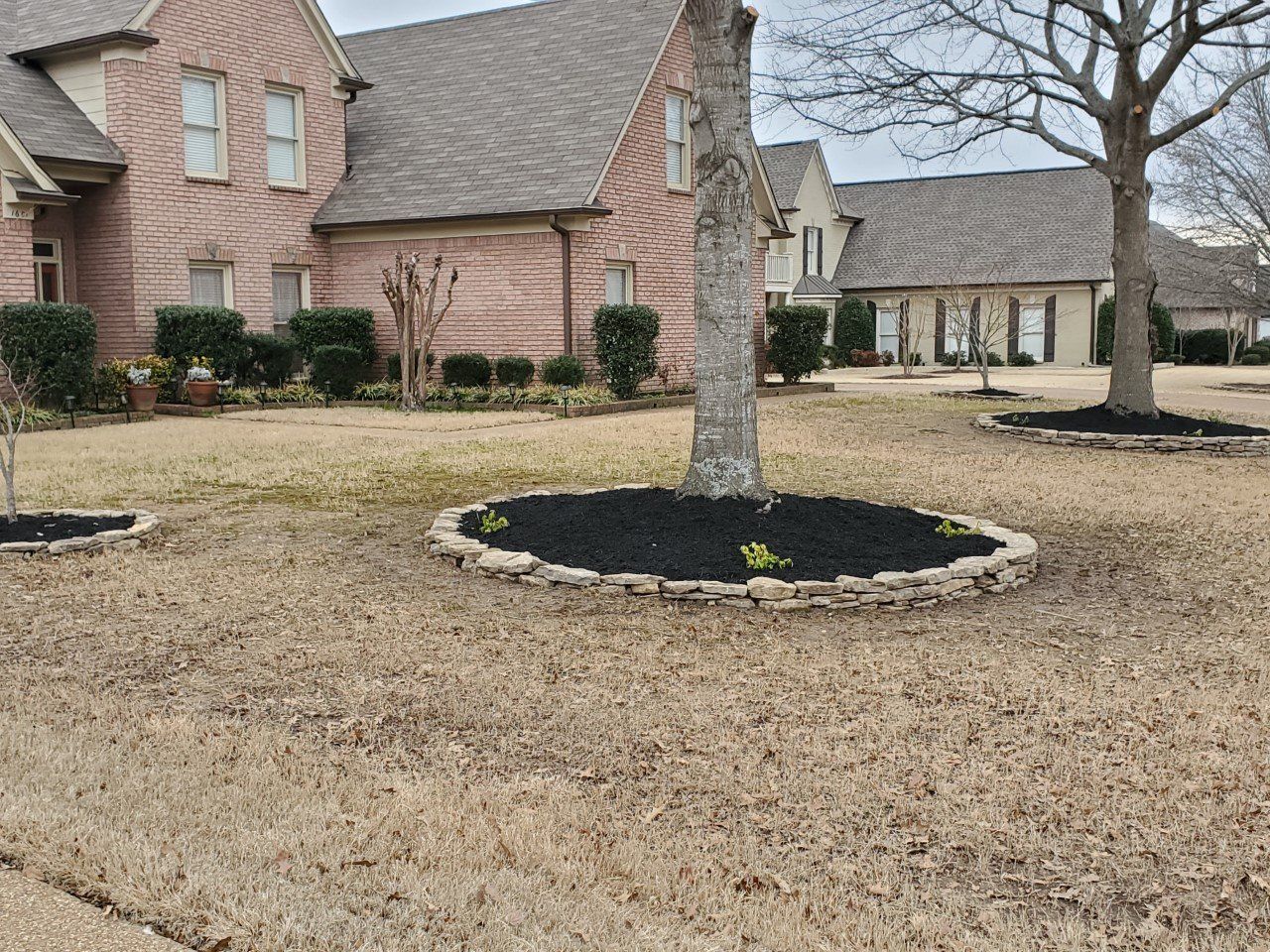 Large brick houses with brown lawns, trees with black mulch rings.