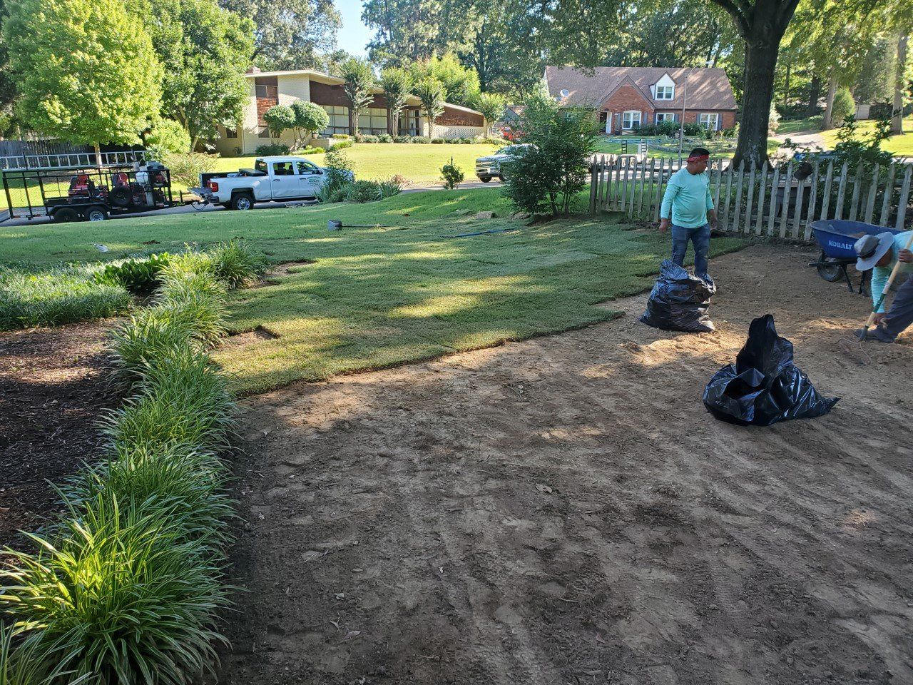 People laying sod in a yard. Black trash bags, truck, tractor, plants and house in the background.