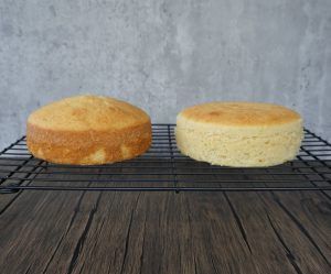 Two round sponge cake layers on a wire rack against a gray background.