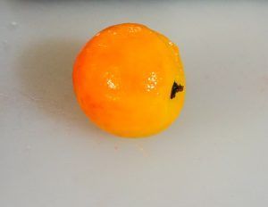 Small orange fruit with a dark blemish on a light gray surface