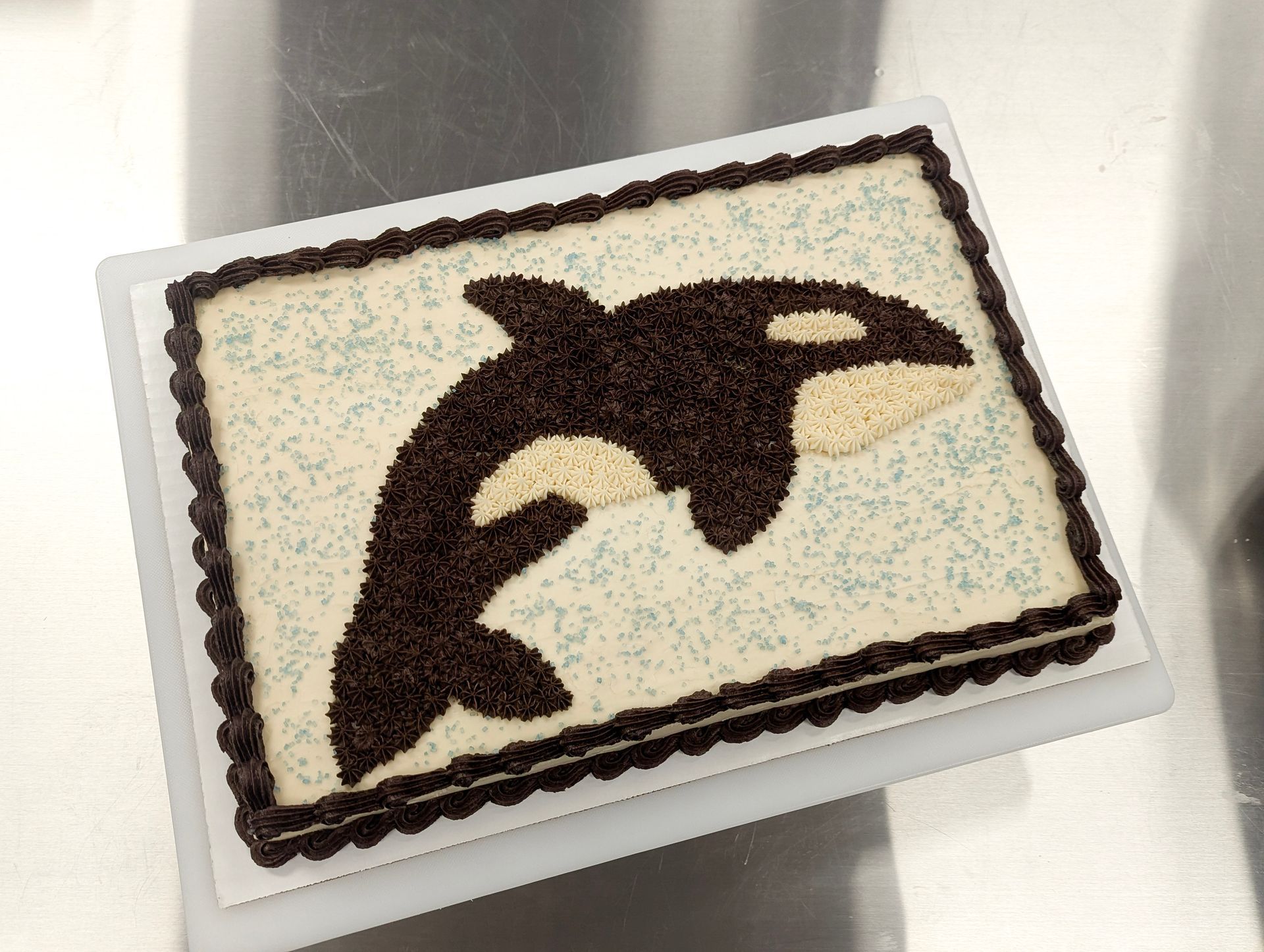 Chocolate dolphin cake on a white platter with cream frosting border.