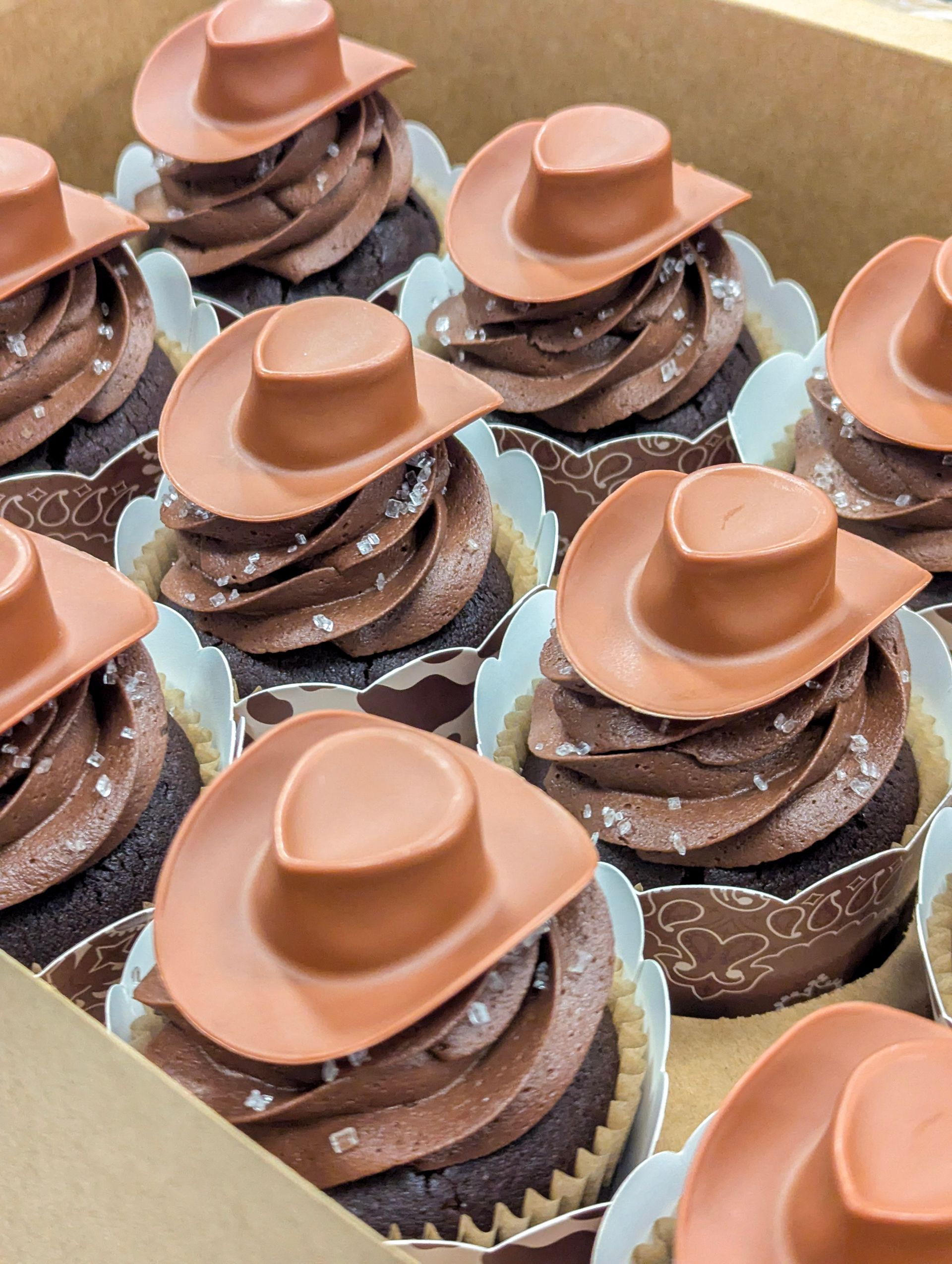 Assorted chocolate cupcakes topped with tan cowboy hats in a box