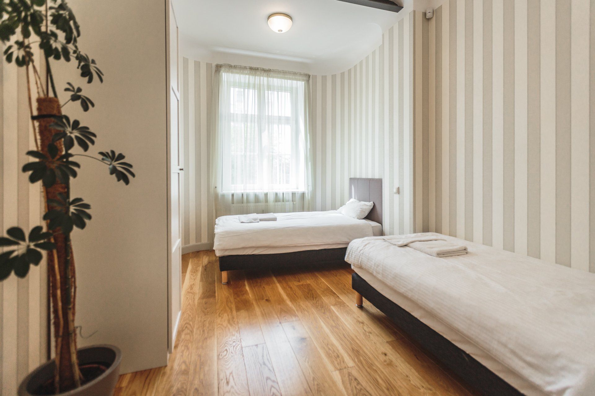 A bedroom with two beds and a potted plant.