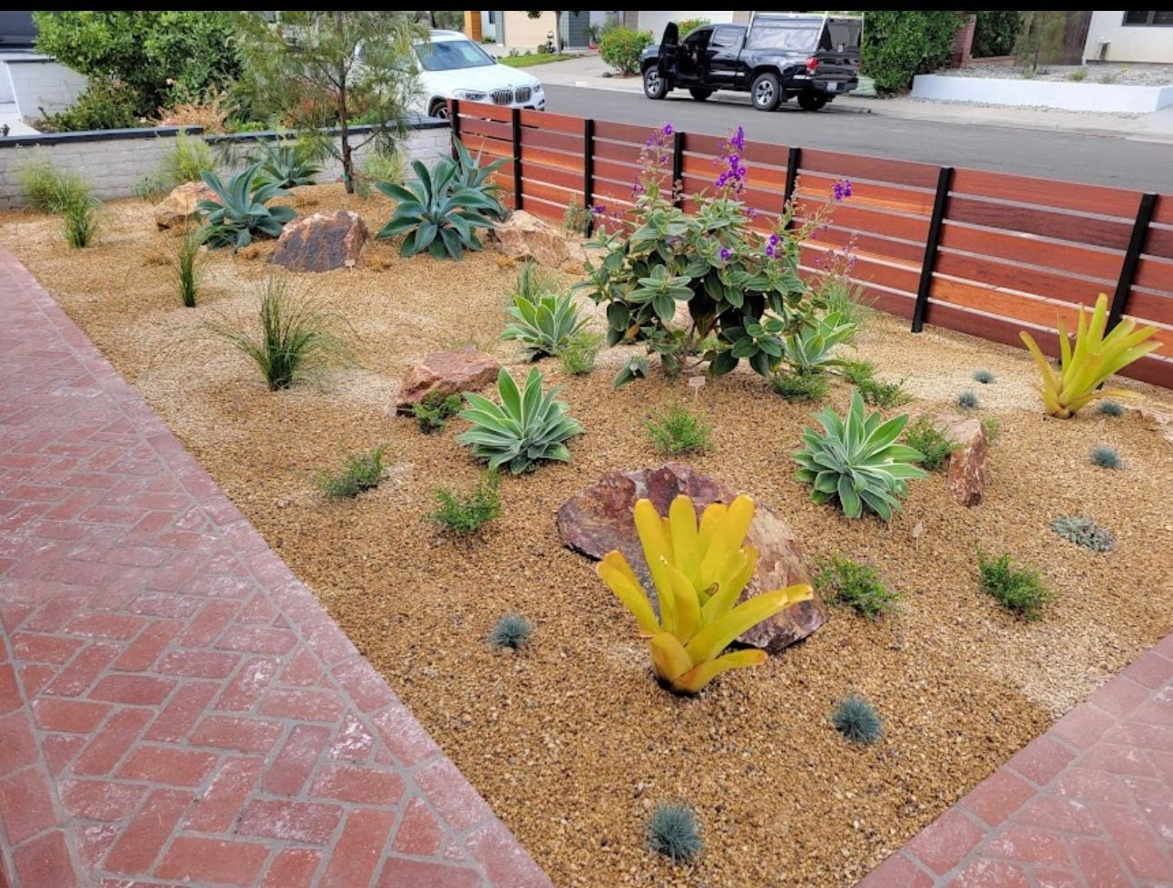 Xeriscaped front garden with succulents, bromeliads, decorative rocks, and tan gravel, enclosed by a modern wood fence.