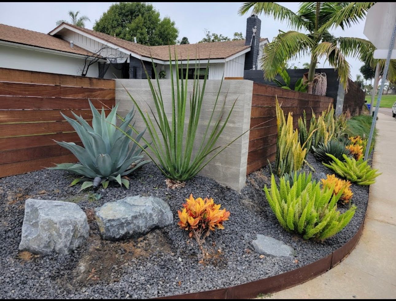 A modern garden bed with succulents, ornamental grasses, and gray gravel in front of a horizontal wood and concrete wall.