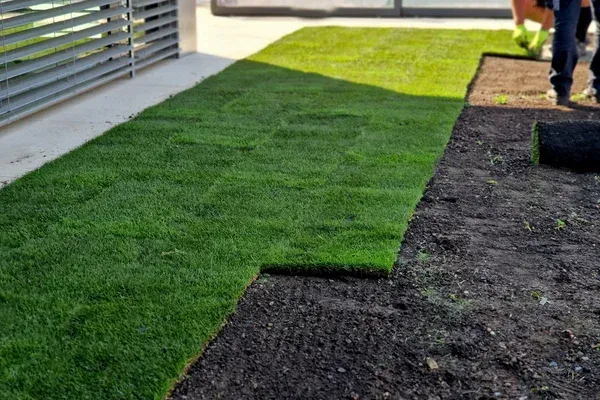 artificial turf installers in massapequa ny