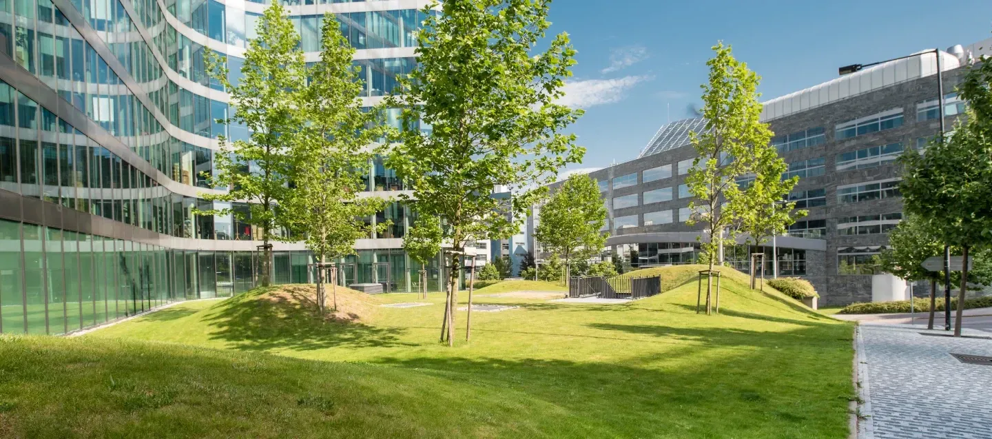 commercial landscaping services in massapequa ny
