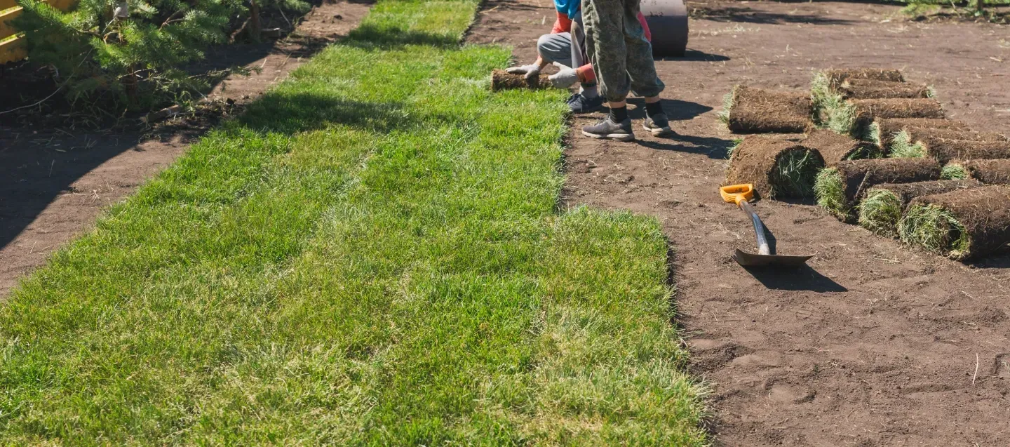 sod installation services in massapequa ny