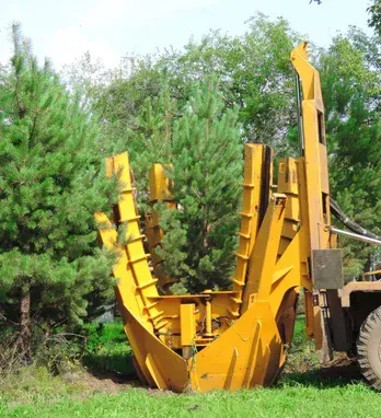 tree transplanting service company in massapequa ny