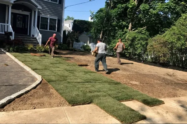 sod installation company in massapequa ny