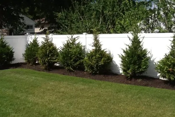 tree installers in massapequa ny