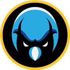 Logo for Newtown Youth Basketball Association
