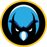 Logo for Newtown Youth Basketball Association