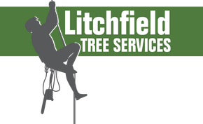 Litchfield Tree Services