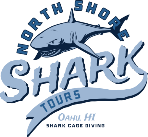 Screen Printing Near Me: North Shore Shark Tours