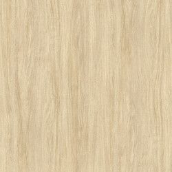 Warm Sand Garage Cabinet Color Option From Gorgeous Garage