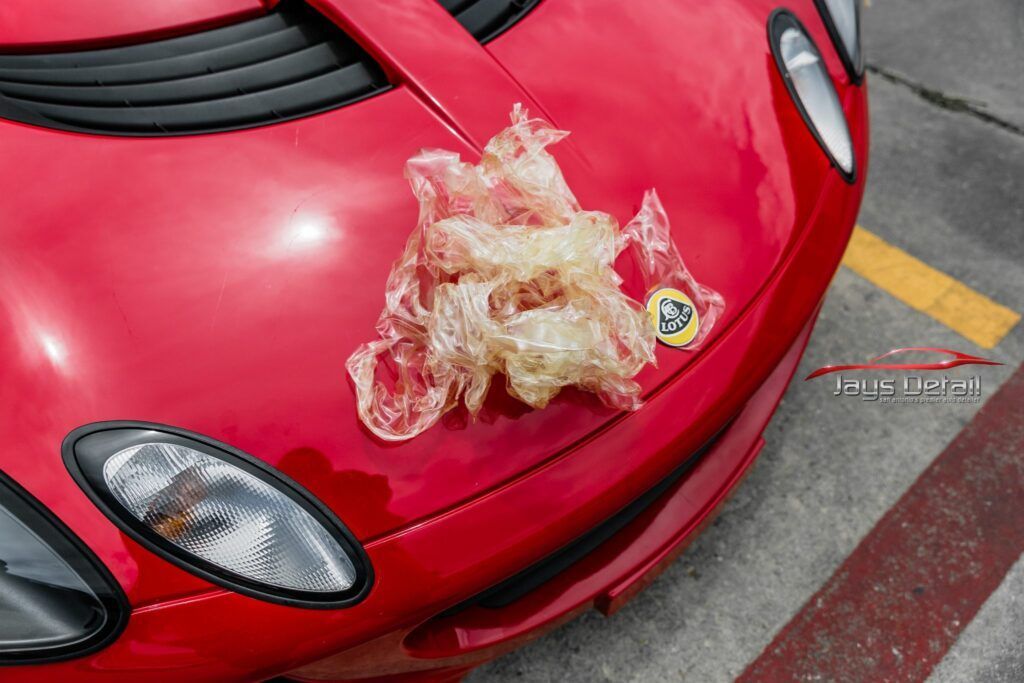 Red sports car hood with a clump of beige, translucent material. Lotus logo visible.