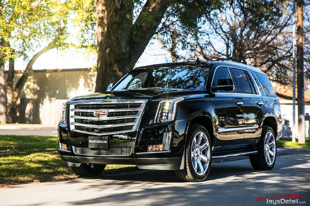 Black Cadillac Escalade SUV parked on a road, next to a tree, bright sunlight.