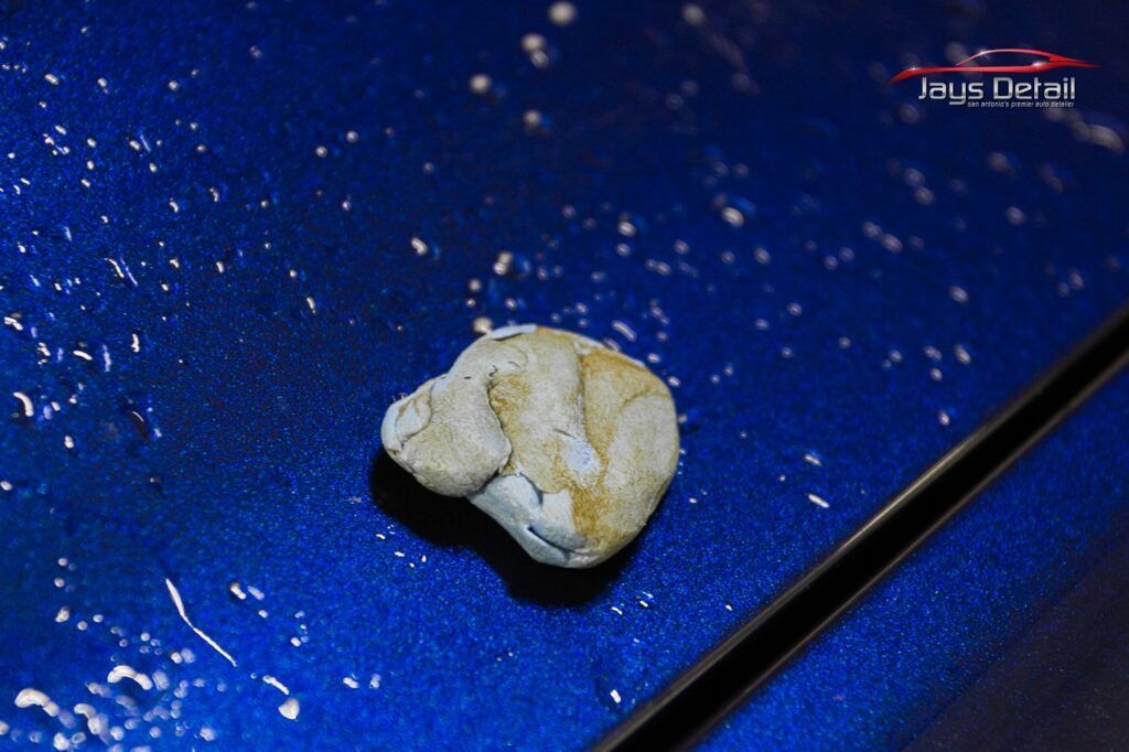 Close-up of a beige rock on a blue car hood with a black stripe.