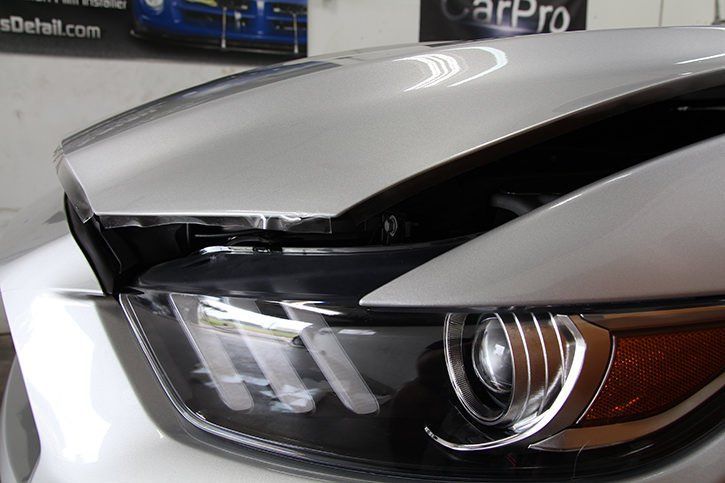 mustang ppf