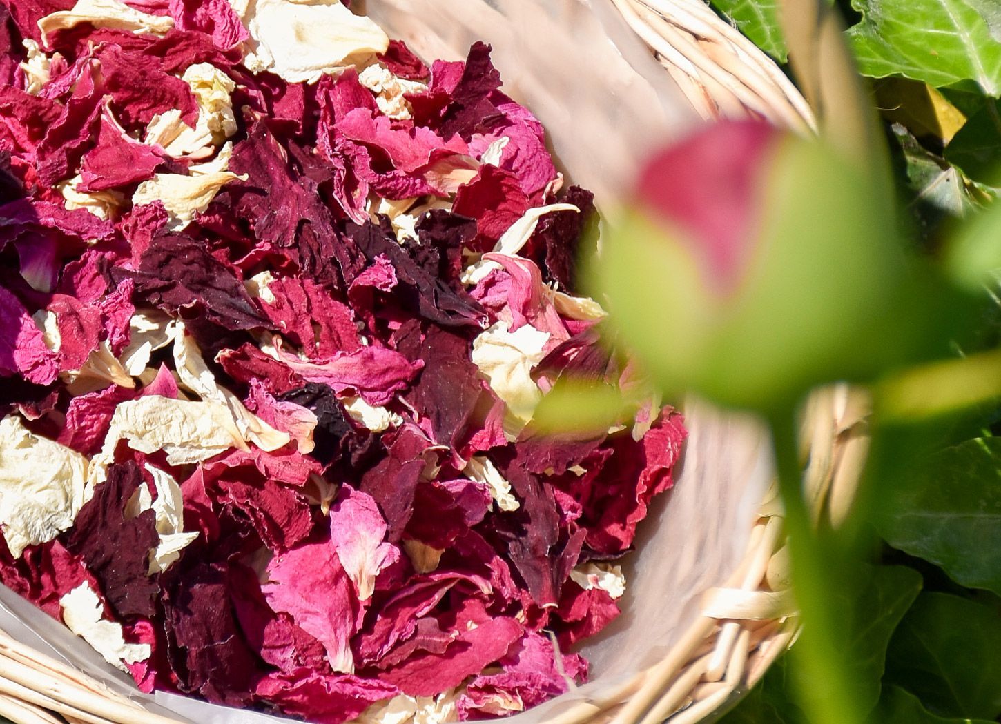 Mélange de pétales de pivoine séchés bordeaux, roses et crème dans un panier