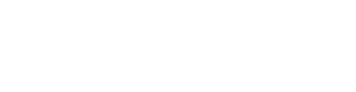 Blank white banner with a thin black horizontal line near the bottom